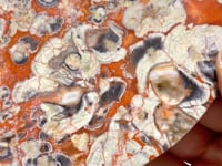 Colorful Jasper Butterfly Wing Carving With Stand