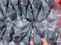 Labradorite Crow Skull Carving Wholesale