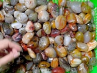 Natural Silk Agate Palm Stone Free Form Wholesale