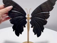 Gold Sheen Obsidian Butterfly Wing Carving With Stand