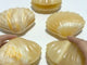 Yellow Calcite Shell Carving Wholesale