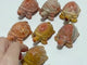 7 Pieces High Quality Coral Jade Turtle Carving #2