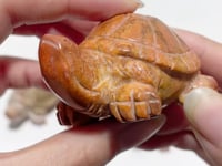 7 Pieces High Quality Coral Jade Turtle Carving #3