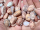 Polished Pink Agate Mini Tumbled Wholesale