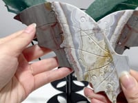 2 Pairs Flying Dragon Wing With Stand Moroccan Agate Moss Agate