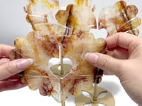 3 Pieces Unique Golden Hematoid Quartz Heart Wing Carving With Stand