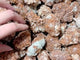 Aragonite Raw Cluster Wholesale