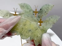 4 Pairs Beautiful Prehnite Butterfly Wing With Stand