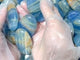 Beautiful Blue Onyx Palm Wholesale