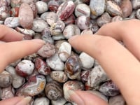 0.6-1.1in Moroccan Agate Tumbled Wholesale