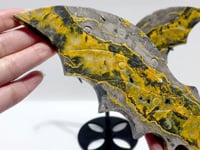 Bumble Bee Jasper Flying Dragon Wing With Stand