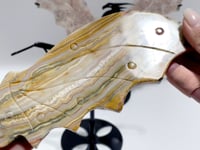 2 Pairs Flying Dragon Wing With Stand Crazy Agate Sakura Flower Agate