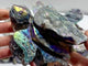 7 Pieces Geode Aura Sphalerite Sea Turtles Carving