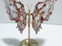 Unique Morocco Agate Butterfly Wing Carving With Stand