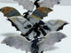4 Pairs Agate Flying Dragon Wing With Stand Morocco Agate