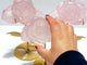 3 Pairs Rose Quartz Flower Carving With Stand