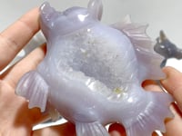 4 Pieces Geode Druzy Agate Fish with Pig&Calf Head Carving