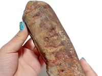 High Quality Garden Quartz Crystal Point Raw Back