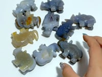 10 pieces Small Geode Agate Druzy Rhino Carving