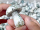 White Moss Agate Mushroom Carving Wholesale Clearance