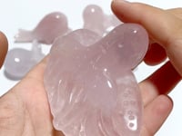 10 Pieces Beautiful Rose Quartz Sea Animals Carving