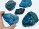 5 Pieces Apatite Sea Animals Carving
