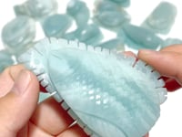 23 Pieces Caribbean Calcite Sea Animals Carving