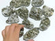 11 Pieces Pyrite Mixed Clear Quartz Cluster Specimen For Collection