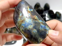 33 Pieces Labradorite High Quality Polished Free Form