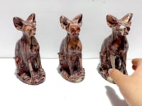 3 Pieces China Red Stone Cat Carving
