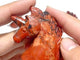 Red Jasper Unicorn Carving Wholesale