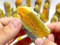 22 Pieces Deep Yellow Bumble Bee Jasper Raw Side Point