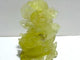 Unique Citrine Dragon Carving
