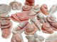 19 Pieces Pink Opal Sea Animals Carving