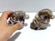2 Pieces Sakura Flower Agate Christmas Hat Skull Carving