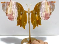 Ocean Jasper Butterfly Wing Carving With Stand