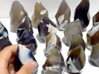 19 Pieces Black Orca Agate Flame Carving #3