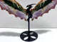 Beautiful 8th Vein Ocean Jasper Flying Dragon Wing Carving With Stand