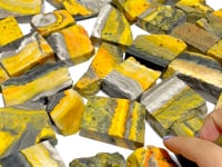 42 Pieces Bumble Bee Jasper Polished Home Decor