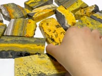 15 Pieces Beautiful Bumble Bee Jasper Polished Home Decor