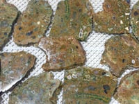 11 Pieces Peacock Eye Rain Forest Jasper Slab