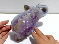 Unique Geode Amethyst Mixed Agate Druzy Elephant Animal Carving #A03