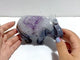 Unique Amethyst Mixed Geode Druzy Agate Elephant Animal Carving #A12