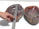 2 Pieces Large Petrified Wood Bowl