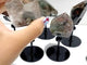 5 Pieces Beautiful Garden Quartz Free Form With Stand Home Decor