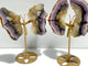 2 Pairs Fluorite Mixed Pyrite Butterfly Wing With Stand #8