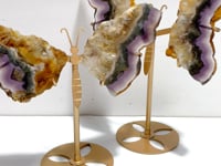 2 Pairs Fluorite Mixed Pyrite Butterfly Wing With Stand #3