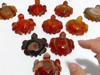 Carnelian Sea Turtle Carving Wholesale