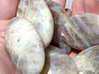 254 Pieces Sunstone Mixed Moonstone Palm Closeout