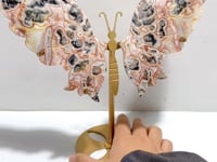 Unique Morocco Agate Butterfly Wing Carving With Stand
